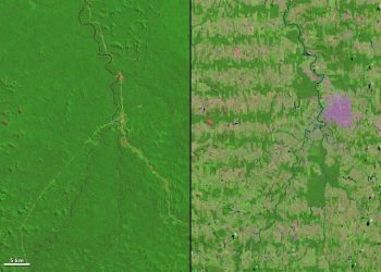 Deforestation in Rondônia, Brazil, 1975 v 2012. NASA images courtesy Landsat team.