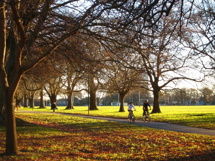 Christchurch's Hagley Park in better times
