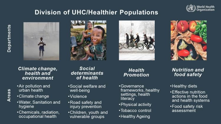 Priorities for the WHO's new division of healthier populations