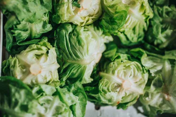 Transforming food systems is about so much more than the cost of lettuces. Photo by Nathan Dumlao on  Unsplash.
