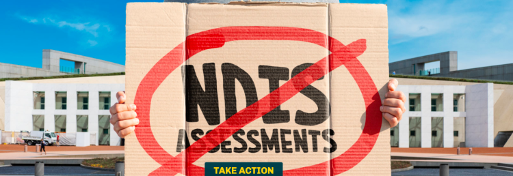 From the Every Australian Counts campaign against the new assessments