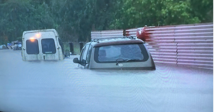 New South Wales flood devastation: screenshot from ABC TV news: Melissa Sweet