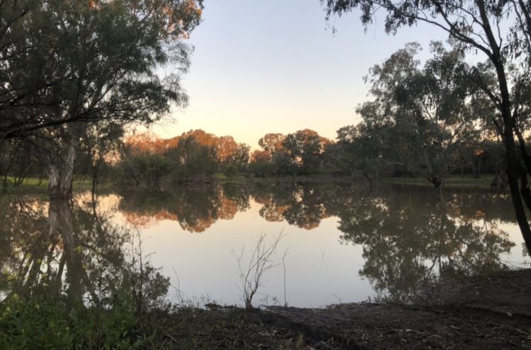 Photo by Professor Rhonda Wilson: beautiful sunset on the Naomi River after a busy day working with Walgett Aboriginal Medical Service