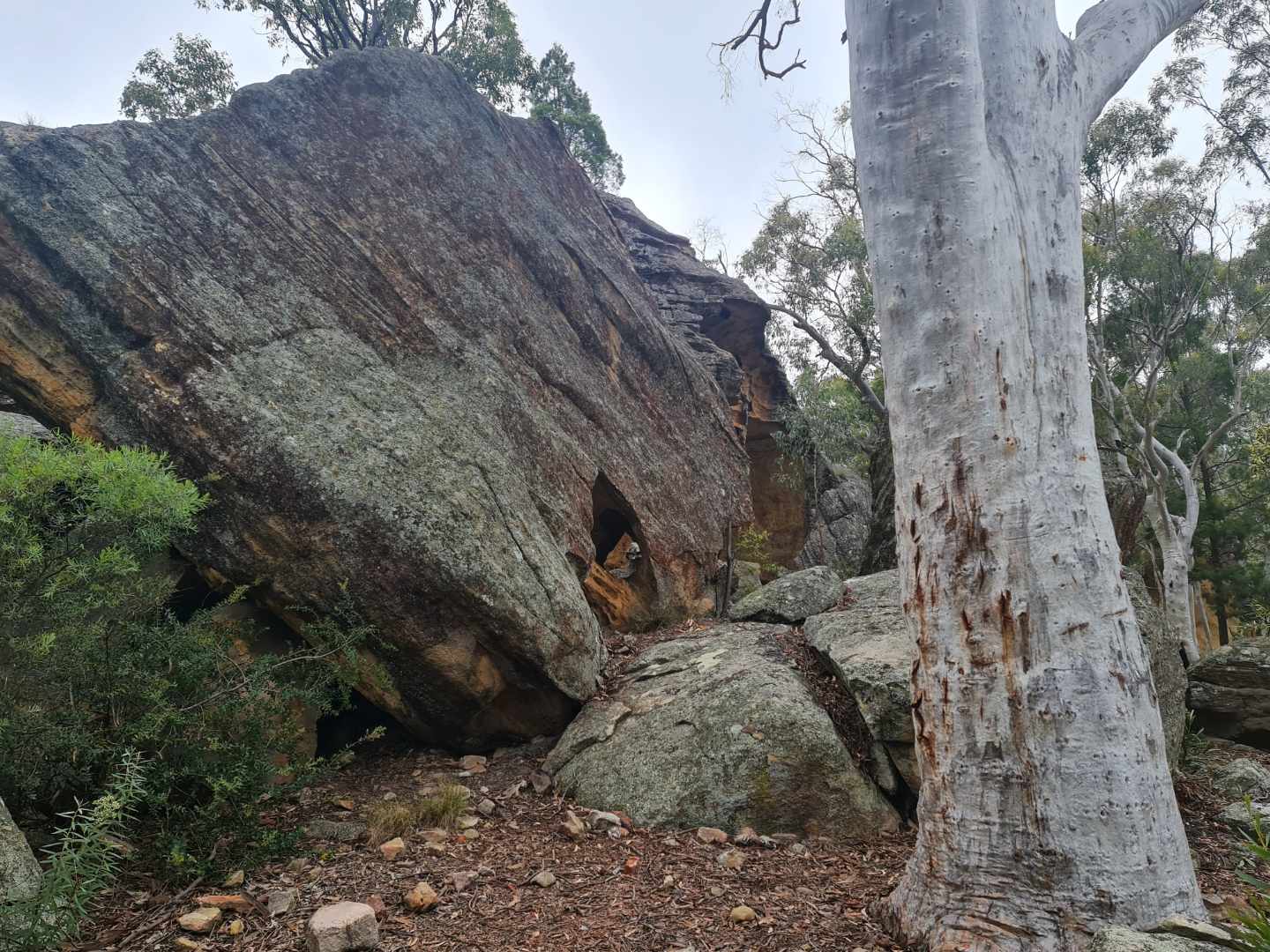 Ganguddy at the Cudgegong River across north east Wiradjuri Country. Photo by Professor Megan Williams