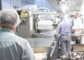 Two workers in grey uniforms and hair nets prepare working in an industrial kitchen