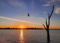 Beyond the static. Lake Mulwala in Yarrawonga, which is Yorta Yorta Country. Photo by Dr Amy Coopes