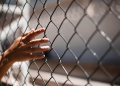 "Children need care and support, not cages." Photo by Caroline Martins on Pexels