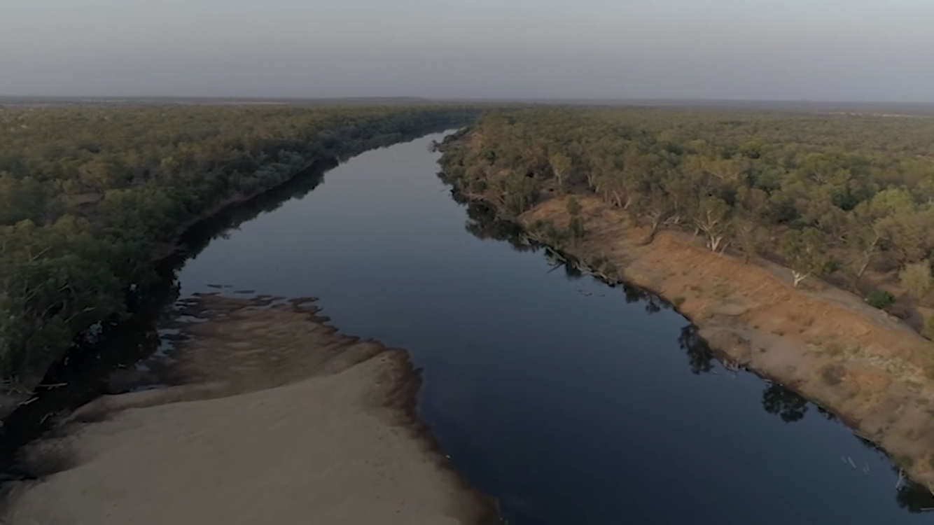 Mardoowarra/Fitzroy River, still from video, Our Commons & Shared Future https://vimeo.com/556591704/eda8f81424