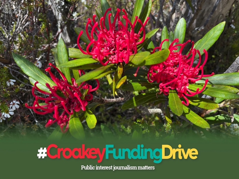 Please support the #CroakeyFundingDrive