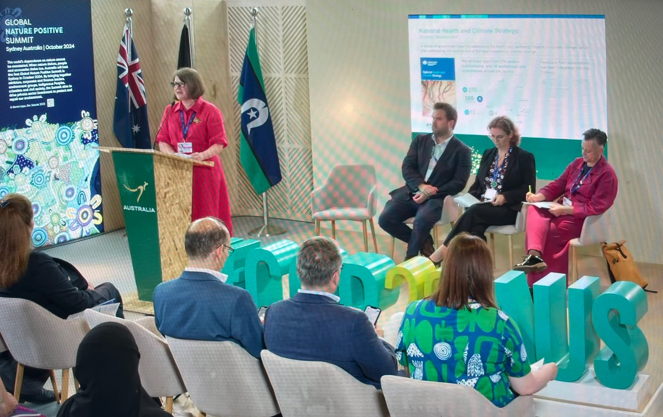 Minister Ged Kearney launching the National Health and Climate Strategy at COP28. Screenshot from livestream.